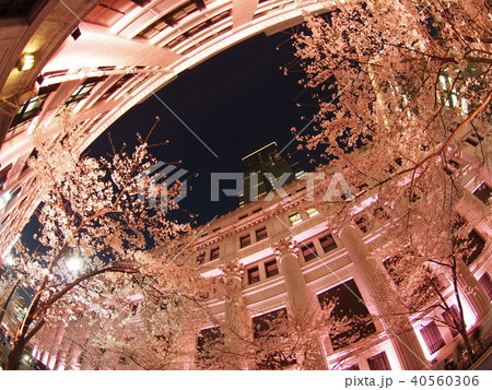 日本橋桜フェスティバル 40560306