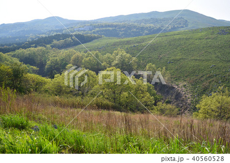 秋吉台　ながじゃくりウバーレ 40560528