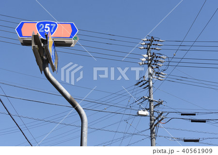 電柱と標識 電柱と標識 40561909