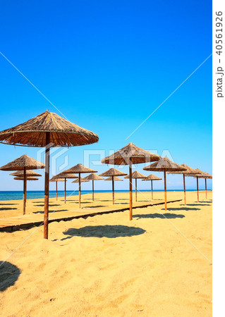 Row of wooden umbrellas at sandy beach, sea 40561926