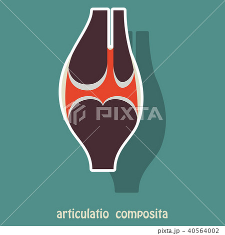 Knee joint health care icon sticker Knee joint health care icon sticker 40564002