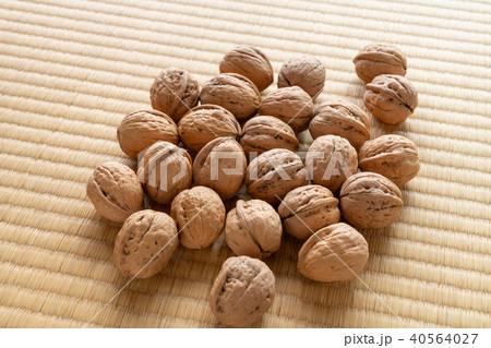 くるみ　シナノグルミ 40564027