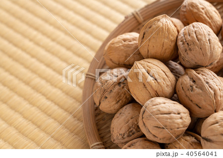 くるみ　シナノグルミ 40564041