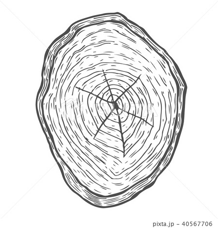 Hand drawn illustration Hand drawn illustration 40567706