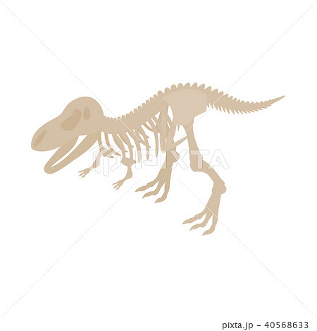 Dinosaur skeleton icon, isometric 3d style 40568633