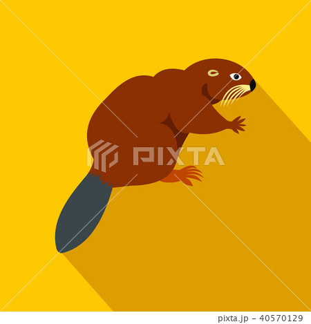 Beaver icon, flat style Beaver icon, flat style 40570129