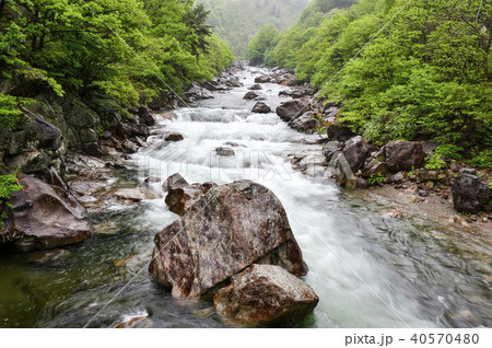 智異山 河東郡 岩 40570480