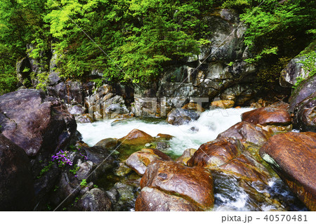 智異山 河東郡 慶南 40570481