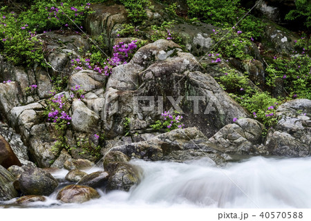 智異山 河東郡 岩 40570588