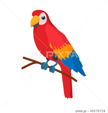 Red brazil parrot icon, cartoon style 40570728