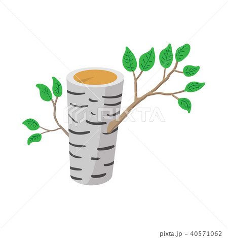 Birch icon, cartoon style 40571062