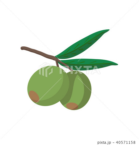 Olives on branch with leaves icon, cartoon style 40571158