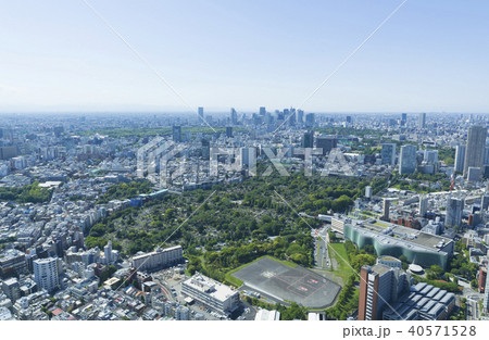 東京風景・青空と緑・2018年・新宿・青山・原宿 東京風景・青空と緑・2018年・新宿・青山・原宿 40571528