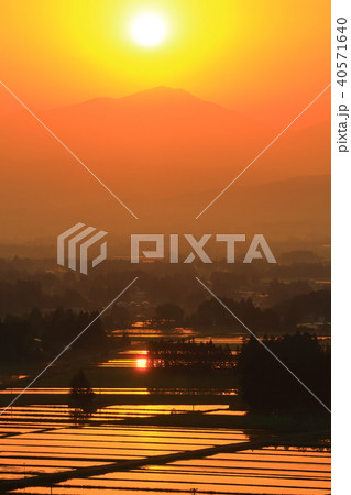 朝の田園風景 朝の田園風景 40571640