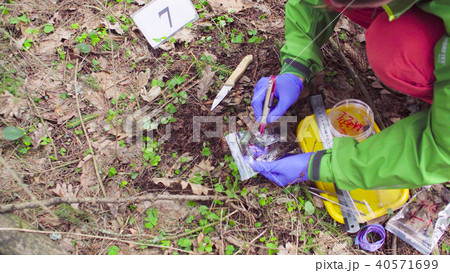 Scientist ecologist in the forest taking samples of soil 40571699