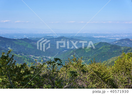 埼玉県　奥武蔵グリーンラインからの景色 40571930