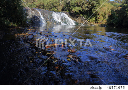 泉川滝 泉川滝 40571976