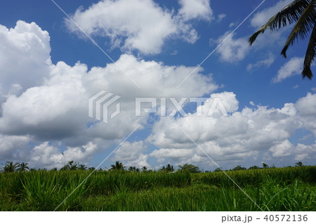 澄み渡る青い空と雲 澄み渡る青い空と雲 40572136