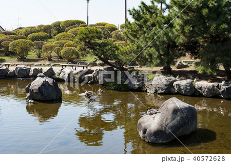 和風の池庭の写真素材