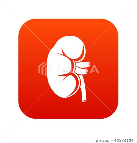 Kidney icon digital red Kidney icon digital red 40573104