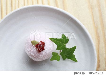 葉 木の葉 韓菓 40575264