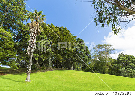 ニュージーランド　オークラン　ダヴ＝マイヤー・ロビンソン・パーク 40575299