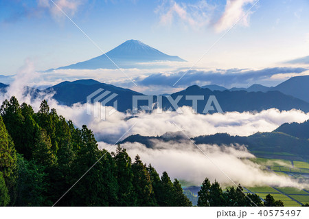 (静岡県)富士山と大雲海 (静岡県)富士山と大雲海 40575497