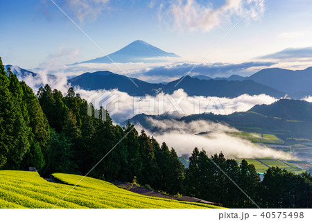 (静岡県)富士山と大雲海 (静岡県)富士山と大雲海 40575498