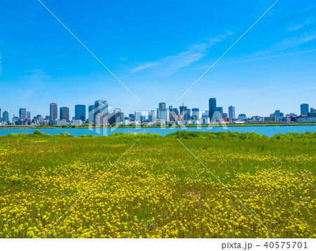 大阪梅田の超高層ビル街 40575701