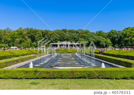 神代植物公園のバラ園の写真素材