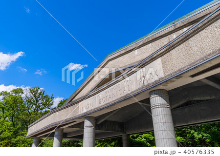 神代植物公園のバラ園 神代植物公園のバラ園 40576335