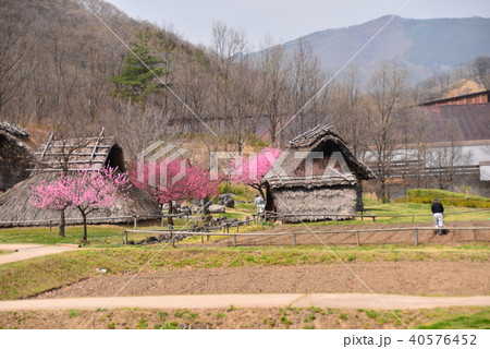 科野のムラ集落遺跡公園 40576452