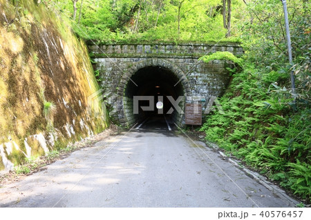 旧戸草トンネル 旧戸草トンネル 40576457
