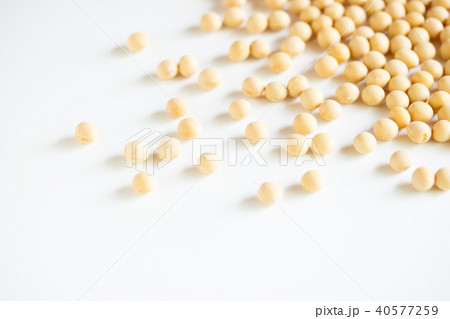 大豆 40577259