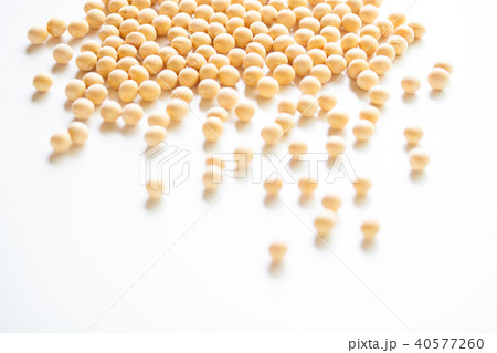 大豆 大豆 40577260