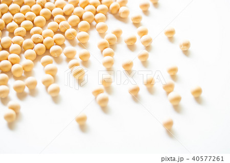 大豆 40577261