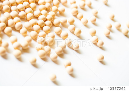 大豆 40577262