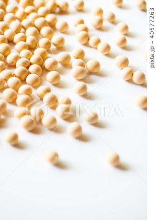 大豆 40577263