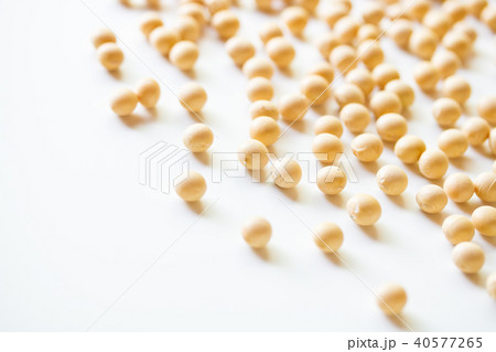 大豆 大豆 40577265