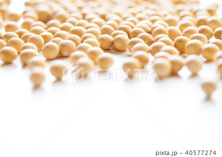 大豆 大豆 40577274