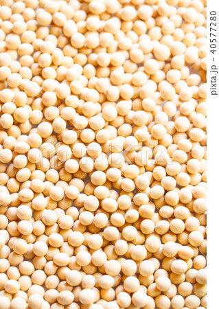大豆 40577280