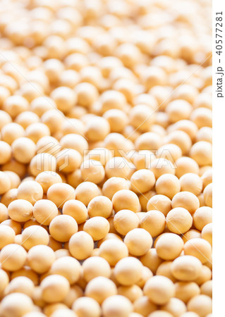 大豆 40577281