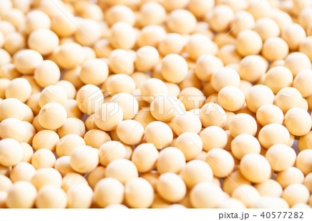 大豆 40577282