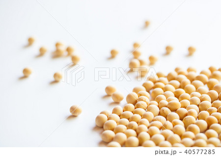 大豆 40577285