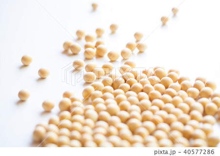大豆 40577286