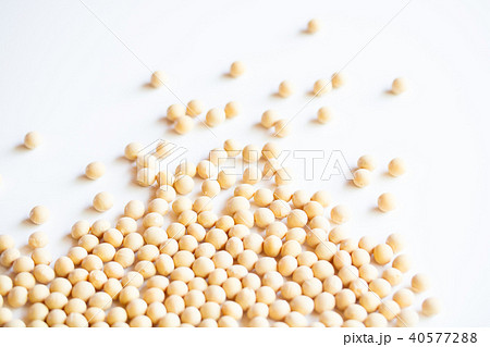 大豆 40577288