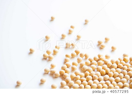 大豆 大豆 40577295