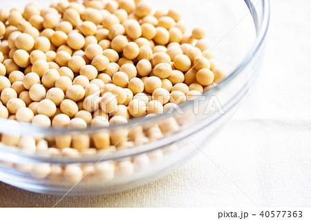 大豆 40577363