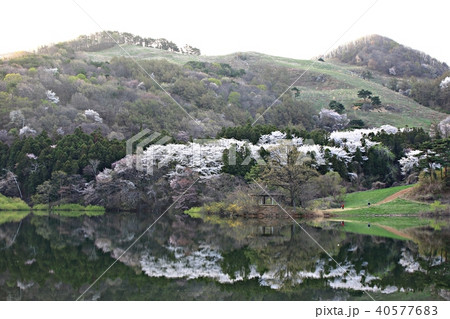 忠南 西山 湖 40577683