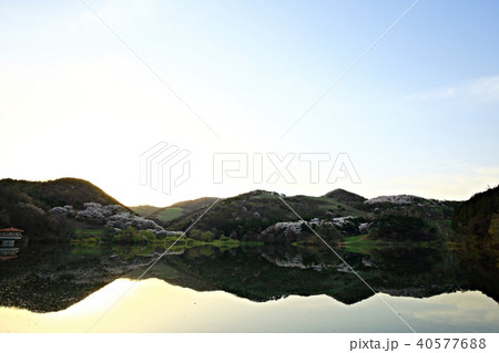 瑞山市 湖 反射 40577688